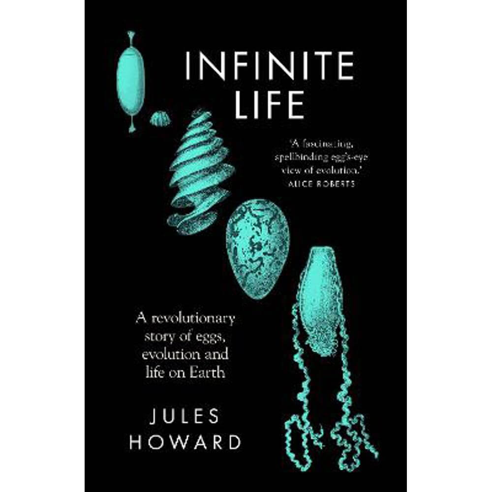 Infinite Life: A Revolutionary Story of Eggs, Evolution and Life on Earth (Hardback) - Jules Howard